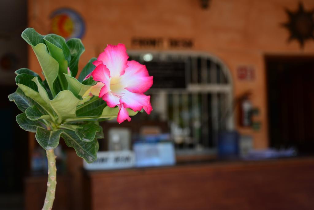 Hotel Posada Luna Sol La Paz Exteriör bild